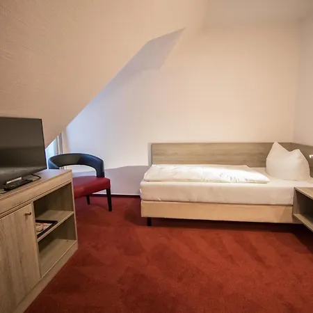 Hotel Altes 3*